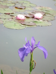 石橋美術館にて