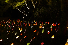佐賀御船山楽園“七夕竹あかり”