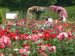 熊本農業公園