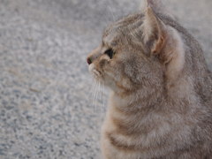 顔を上げて