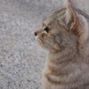 顔を上げて