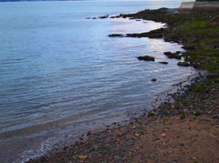 浜