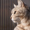今からどこへ行こう