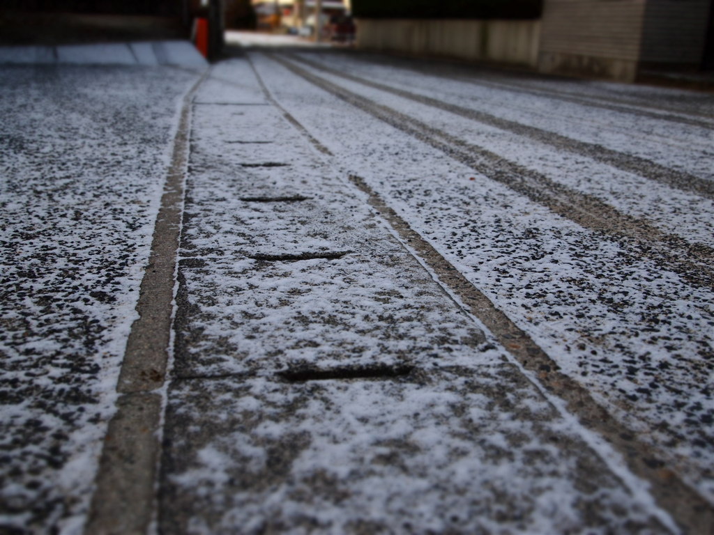 雪道の中の道