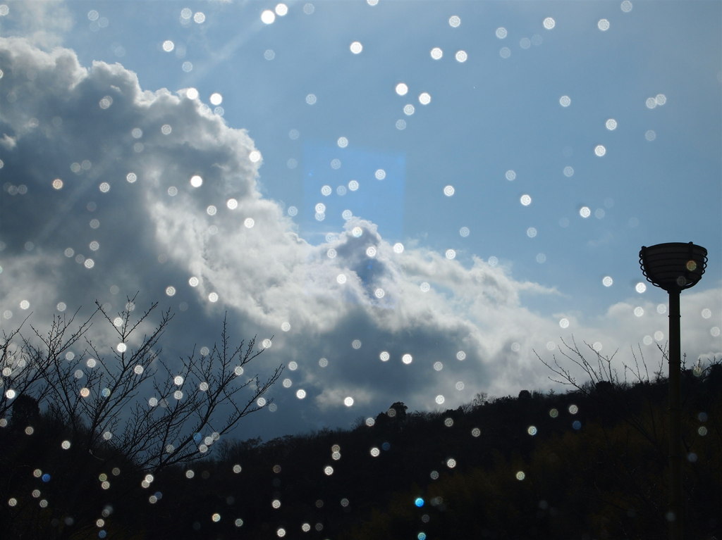雨上がり