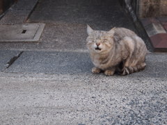 呼んでるよ