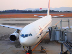 ＪＡＬ
