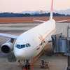 ＪＡＬ
