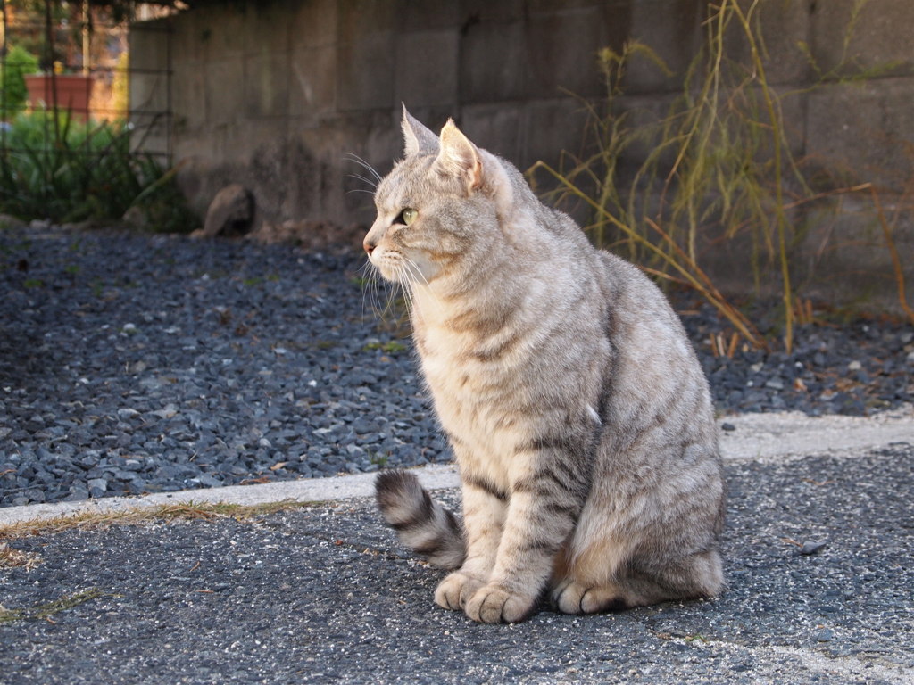 見つめる先には