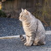見つめる先には