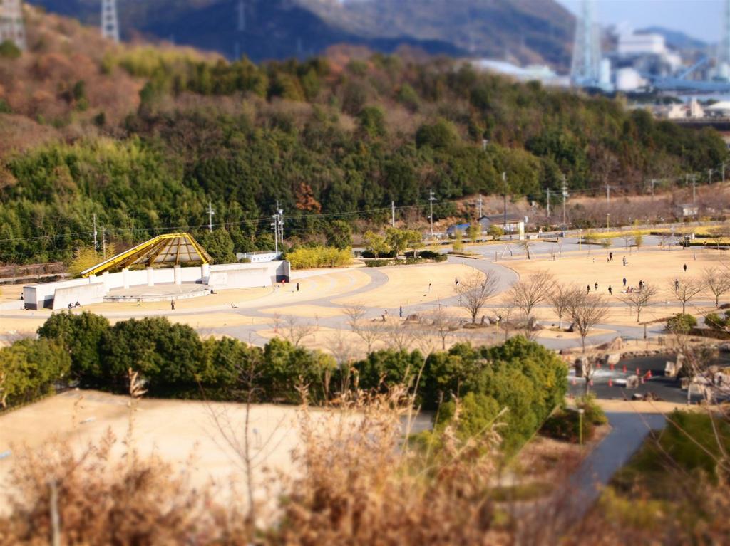 高台から