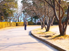 朝の散歩