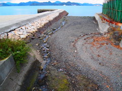 海へ向けて