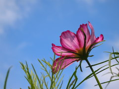 早めの