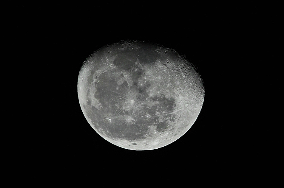 SDIM9254