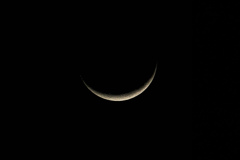 SDIM0933