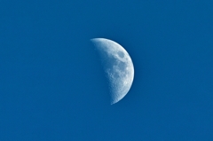 SDIM1099
