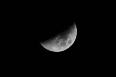 SDIM1121