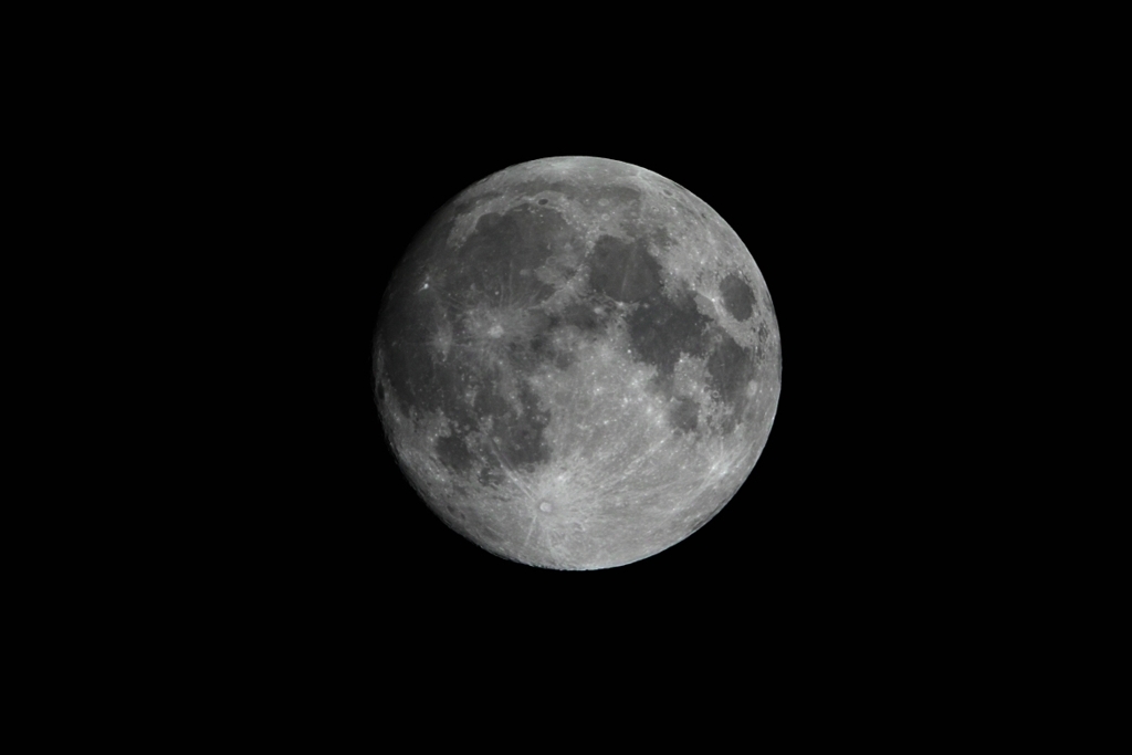 SDIM8981