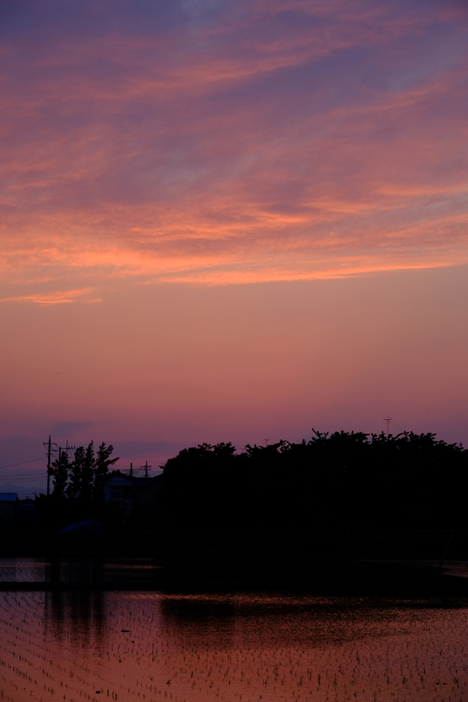 夕景