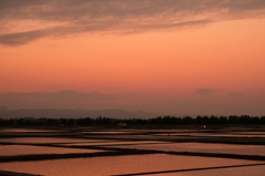 夕景