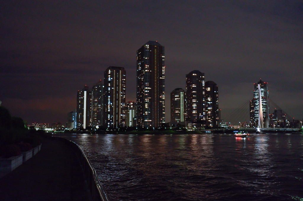 Tokyo evening view