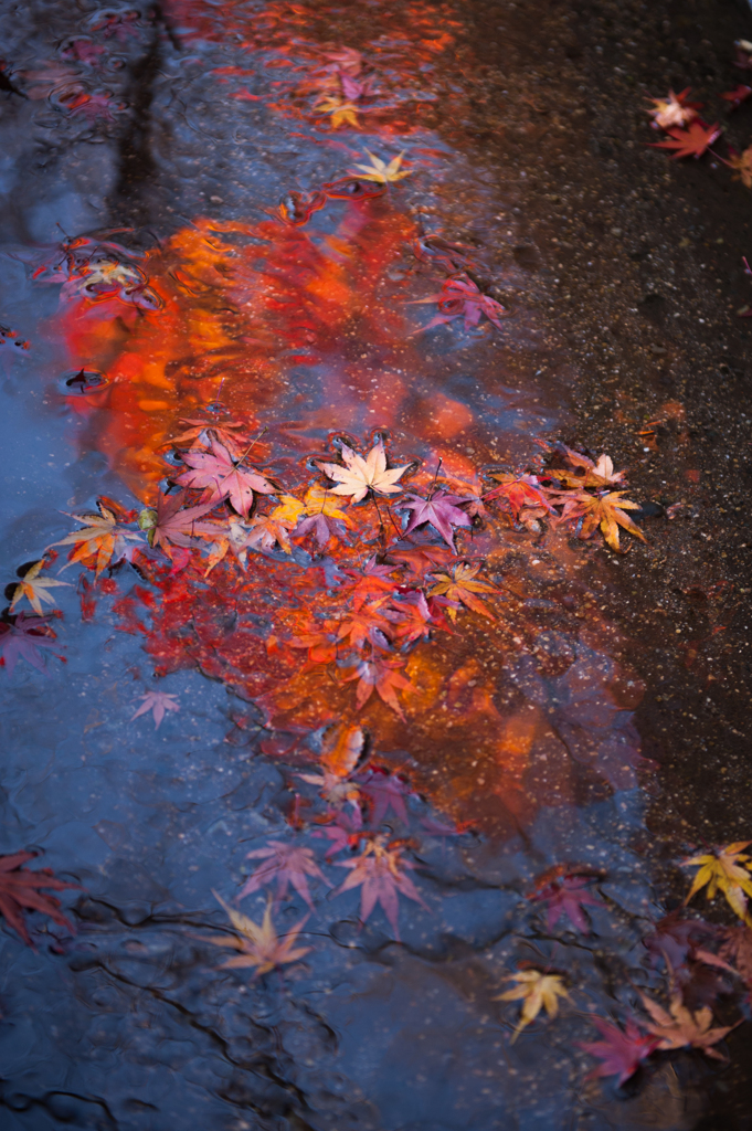 colors