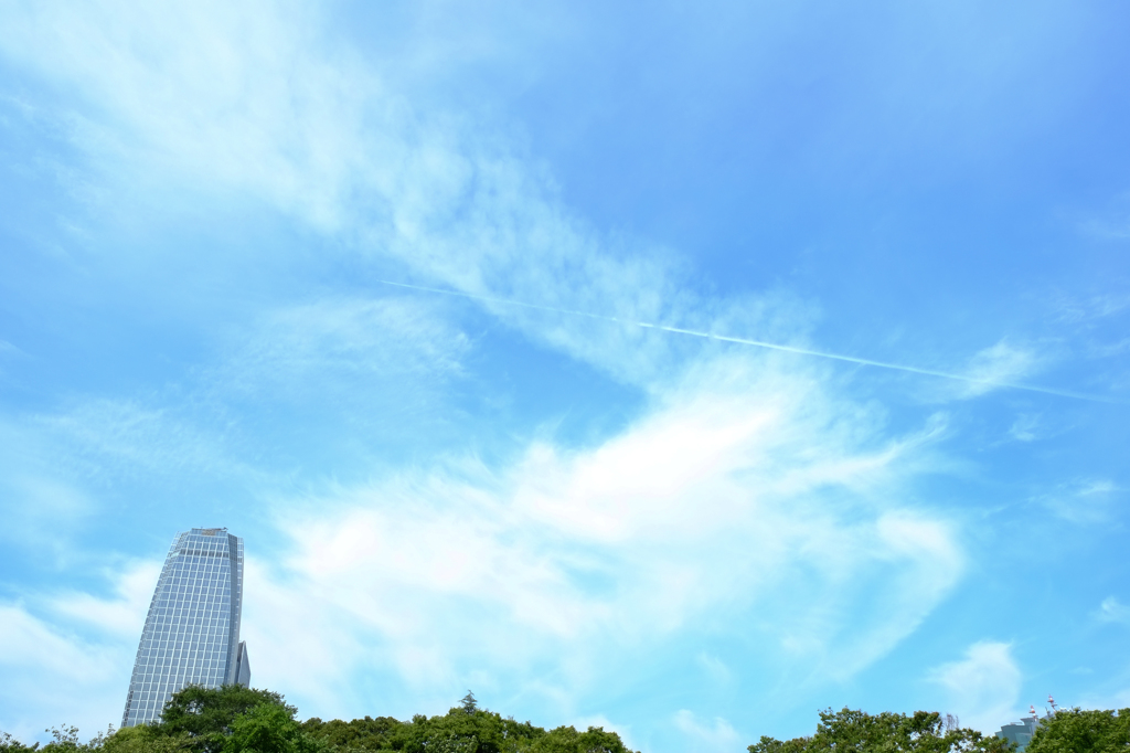 芝公園スナップ5