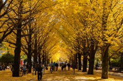 光が丘公園