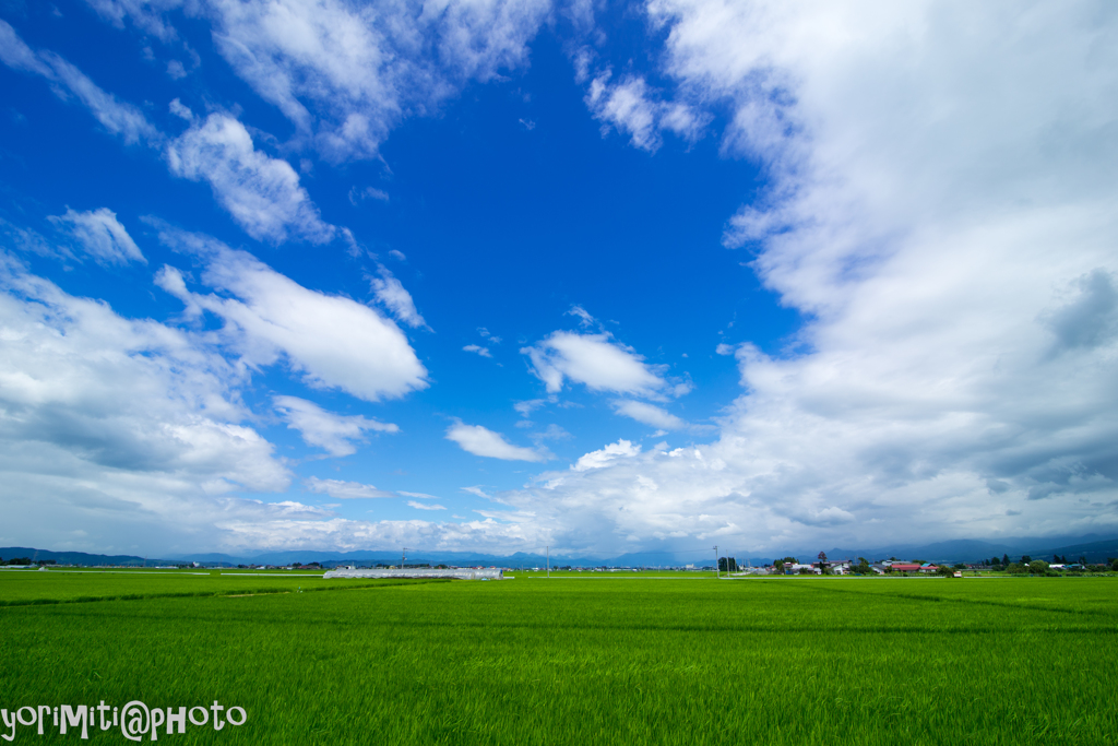 梅雨明け