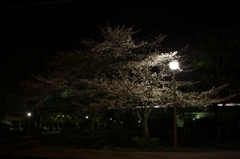 静かな夜