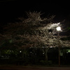 静かな夜