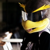 COOL