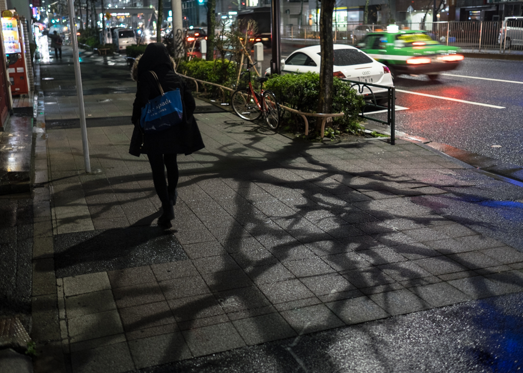 街路樹