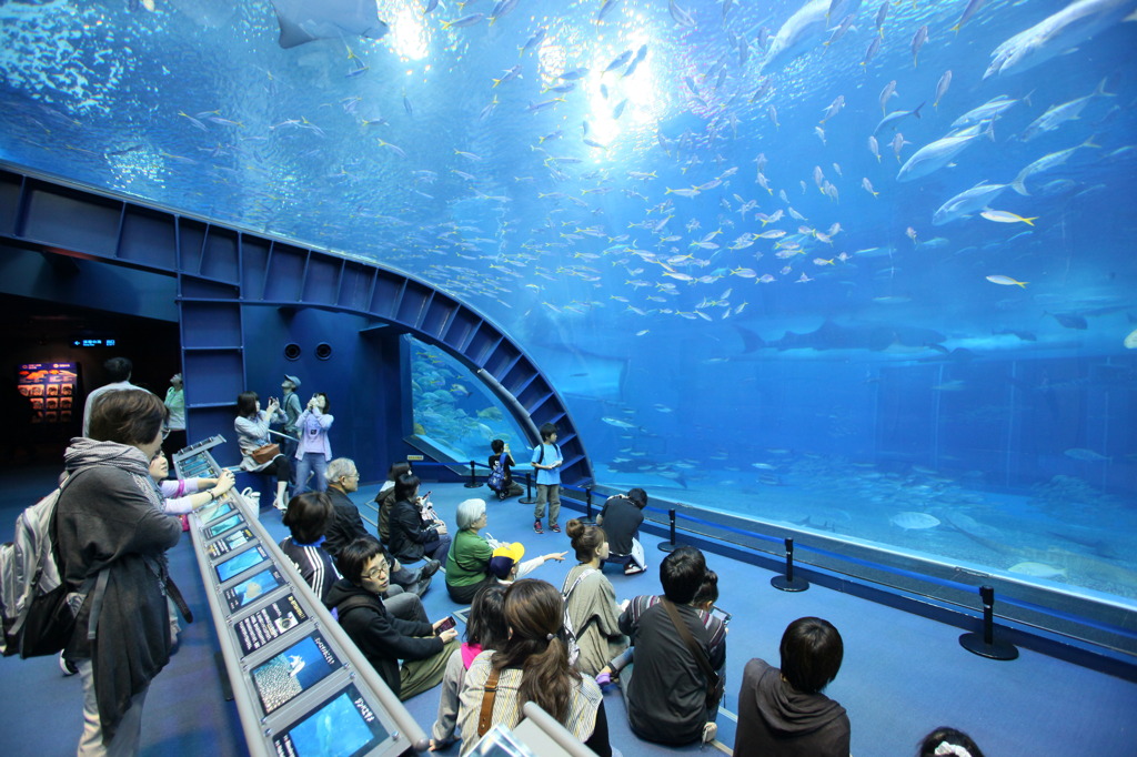 ちゅら海水族舘
