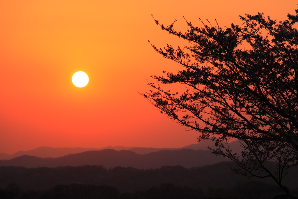 春の夕日