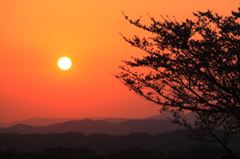 春の夕日