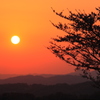 春の夕日