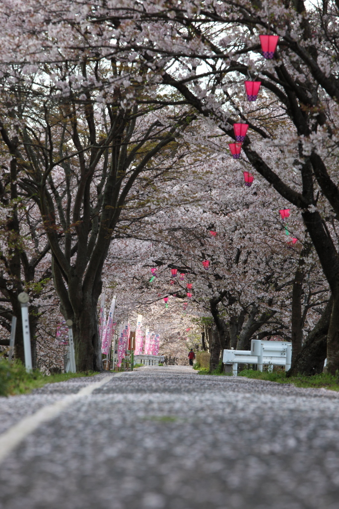 花道