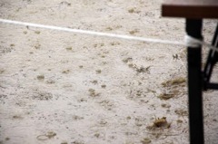 雨の運動会２
