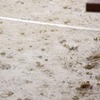 雨の運動会２
