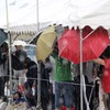 雨の運動会