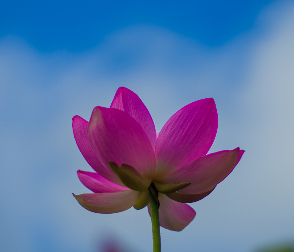 時を越えて