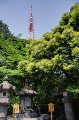 お江と東京タワー