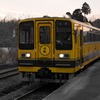 ムーミン列車