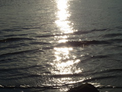 水光