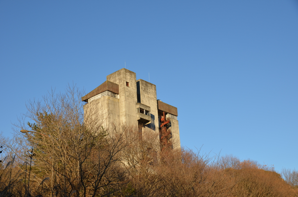 DSC_2196