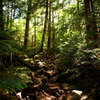 To Takamiiwa