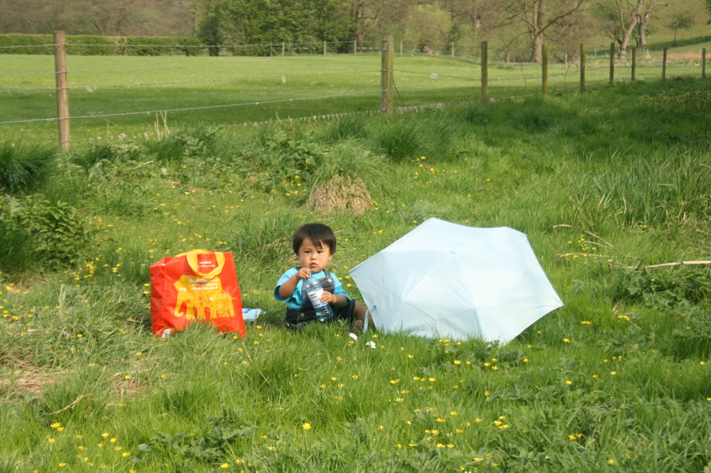 Picnic