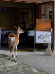 ちょうだい